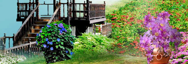 ❉ Chinese