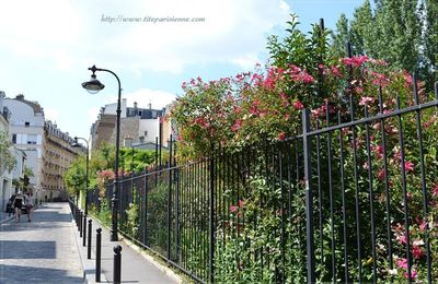 Balade champêtre "Cité Bauer" Paris 14ème 