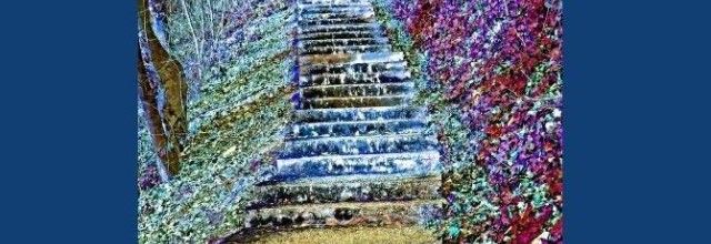 Mardi de l'autre côté de mon escalier...