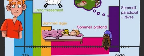 CE1 : Aborder la lecture d'écrits très spécialisés 