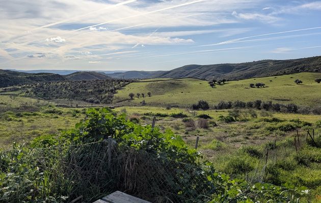 Balade autour de Cacéres - Espagne
