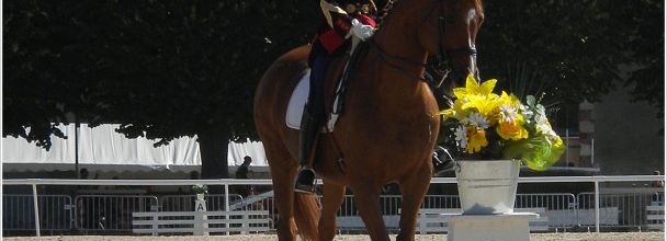 La Garde Républicaine : Solo de dressage