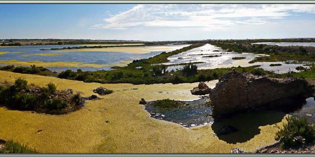 Panorama sur les marais à la lumière du soir - Loix-en-Ré - Ile de Ré - 17