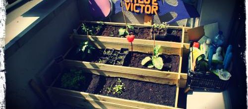  Un jardin sur mon balcon