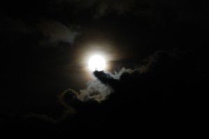 Le ciel se dégage (un peu)