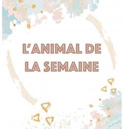 L'animal de la semaine