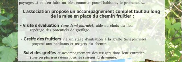 Chemins fruitiers
