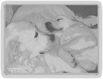  Tendresse.
