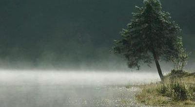 Lointains