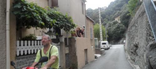 Chaque âge  porte ses fruits...