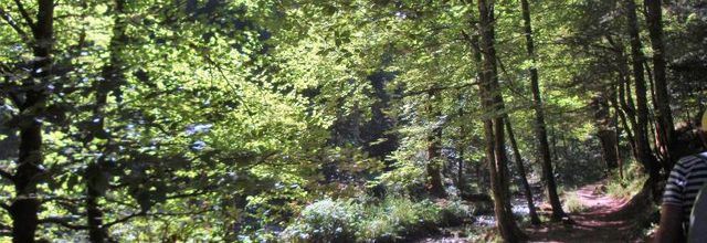 Les gorges du Bruyant..