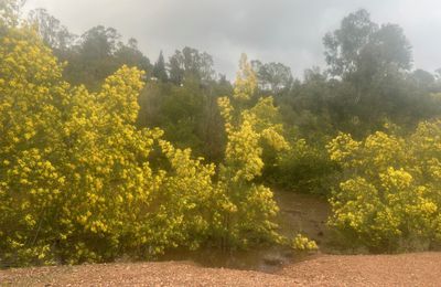 Que d'eau ! 