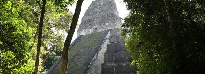 Temple V et Acropole Centrale, Tikal