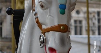 Les chevaux de l'Hôtel de Ville