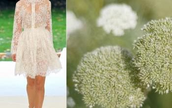 mode fashion garden flowers