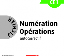 Fichiers PEMF - Numération Opération
