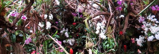 Saint Jacut-les-pins : Tropical Parc (1)