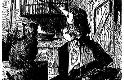 Le corbeau prisonnier - Kergomard 50 images expliquées n° 7