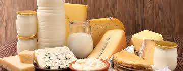 Sortie pédagogique à la ferme