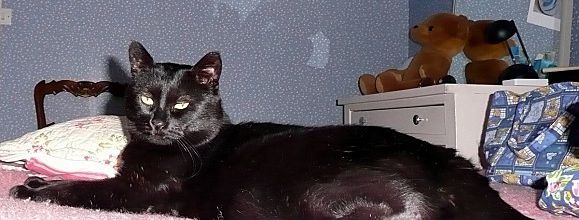 Réparer un jean troué, tuto !
