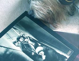 CHIEN*BRANCHÉ@SCAREE*FASH