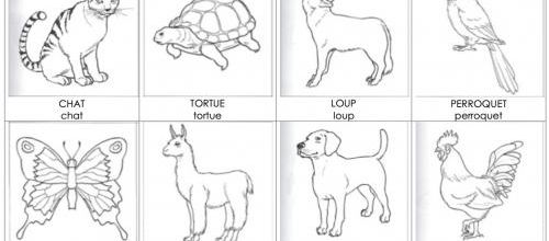 Lexique GS : "Les animaux »
