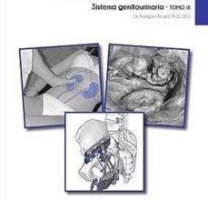 TRATADO DE OSTEOPATIA VISCERAL Y MEDICINA INTERNA TOMO III: SISTEMA GENITOURINARIO leer epub gratis