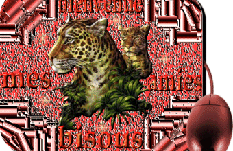 Créations