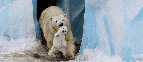 MAMAN ET BEBE