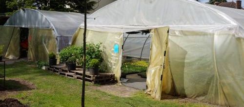 Fêtes des plantes à Dourdan