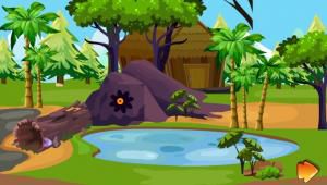 ZooZoo Orchid flower escape soluce