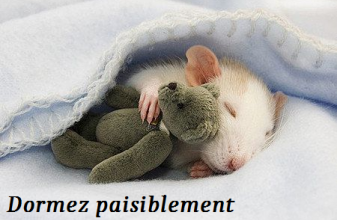 Tendre nuit