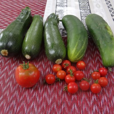 Tian de Courgettes, Tomates, Poivrons,Oignons