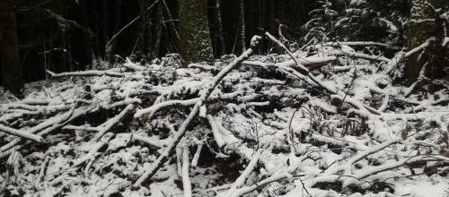 Enneigement, Peter Terrin, traduit du néerlandais par Guy Rooryck (Actes Sud)