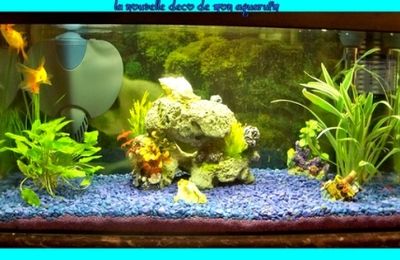 ma crea aquaruim