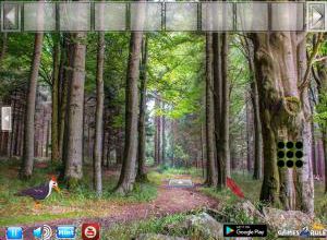 Escape from foliage forest soluce