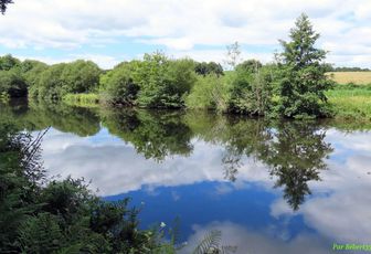 défi reflets d'Annie