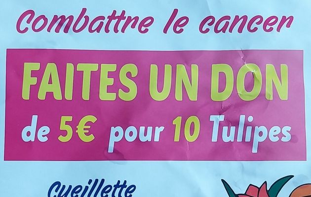 "TULIPES CONTRE LE CANCER"