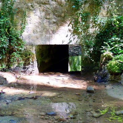 Mullerthal le sentier local W8 /3