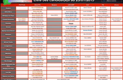 Elections départementales 2015 dans l'Essonne