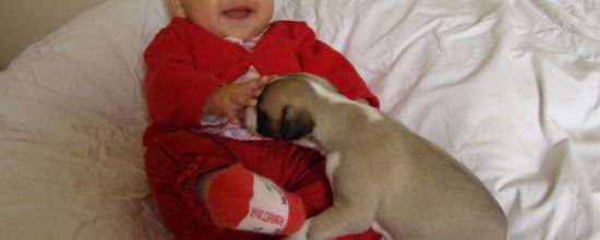 Entre bébés...