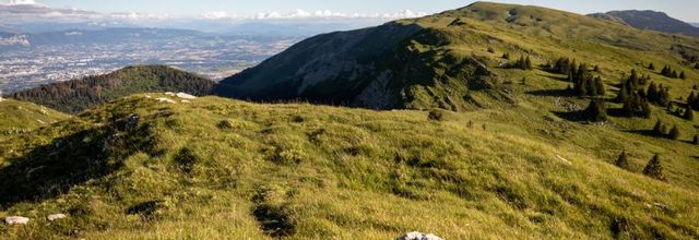 Entre montagne et forêt