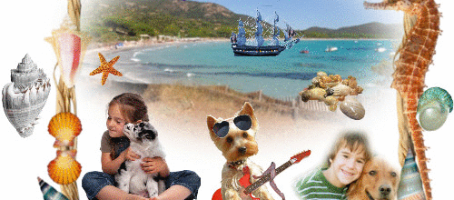 CREA ETE ENFANTS ANIMAUX