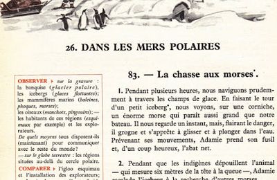 Dumas CM S26 Dans les mers polaires