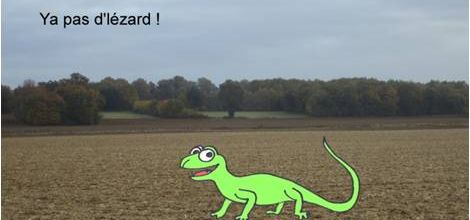 Ya pô d'lézard