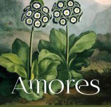 Descargar PDF AMORES