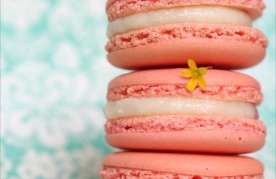 Macarons Ispahan de Pierre Hermé ; litchis, rose, framboise  {français & english}