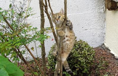 Dimanche avec Quya bébé et quelques photos d'actualité