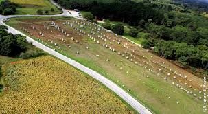 Les Menhirs et dolmens de Bretagne (1)