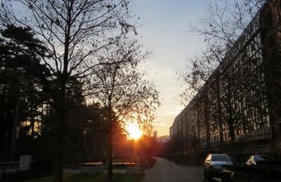 Soleil couchant
